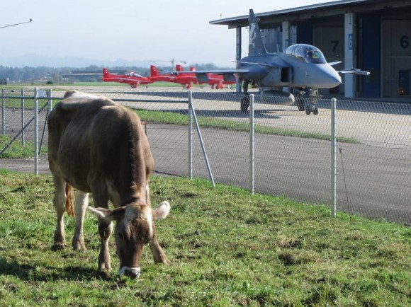 Gripen F de testes em Emmen na Suíça com pasto ao lado - foto via Gripen Blog