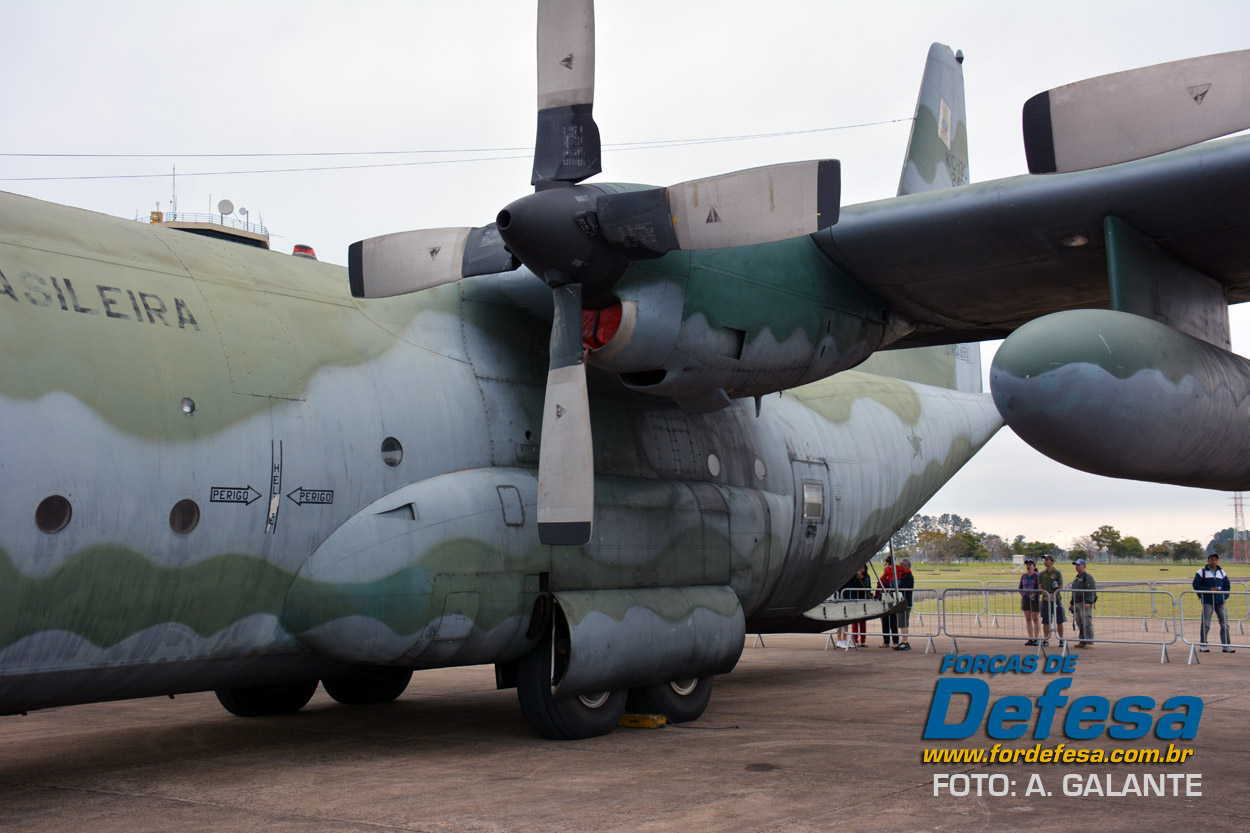 Domingo Aereo - AFA 2013 - KC-130 1