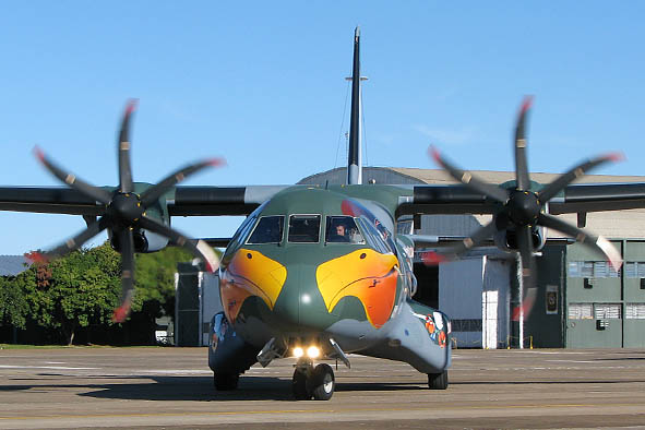 http://www.aereo.jor.br/wp-content/uploads/2009/07/amazonas-pelicano-2-foto-luciano-porto-spotter.jpg