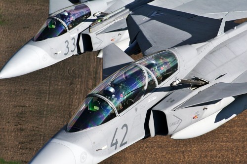 gripen