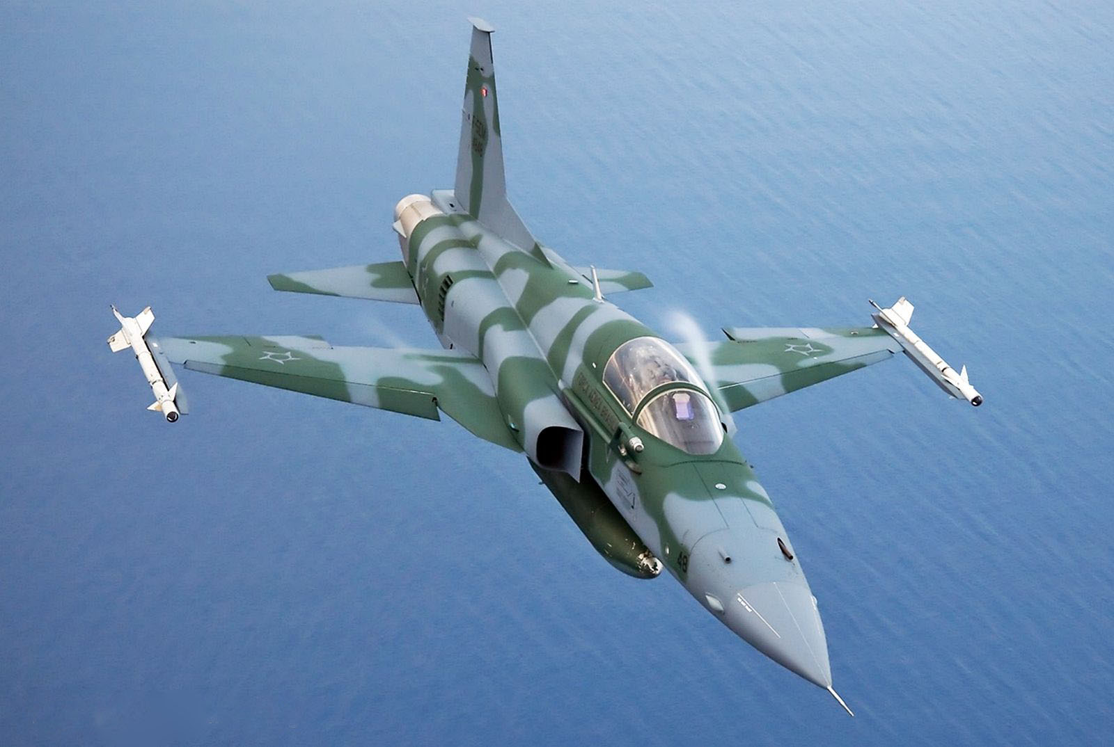 F-5EM fab