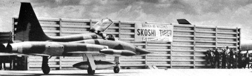 F-5 Skoshi Tiger