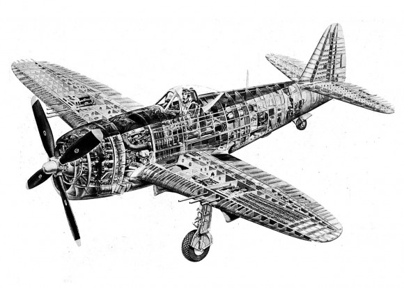 P-47 corte seccional