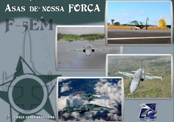 Dia da Aviação de Caça 2013 -F-5EM - imagem FAB
