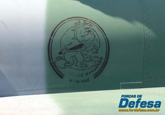 Bolacha do Esquadrão Pacau pintada na fuselagem de caça F-5EM - foto Nunão - Poder Aéreo - Forças de Defesa