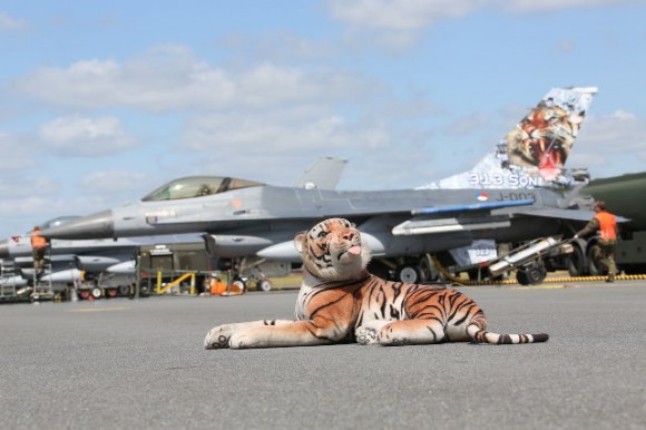 F-16 e tigre - Tiger Meet 2014 - foto Luftwaffe