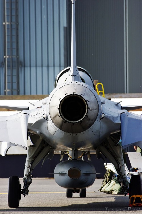 Gripen from behind